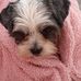 Janice Wright - Facebook
