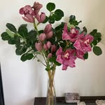 Janice Wright - @janicewright269 - Instagram