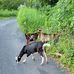 Janice Wright - Facebook
