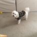 Janice Wright - Facebook
