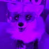 Janice Wolf - @janice_wolf - TikTok