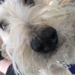 Janice Wyman - @mymimicl - Instagram