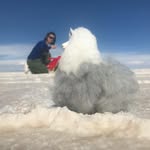 Janice Yim - @yimjanice - Instagram