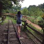 Janice Yiu - @janice.yiu.90 - Instagram