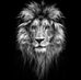 Simon Jones - Facebook