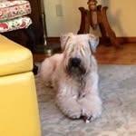 Janie Beach - @janie_beach - Instagram