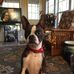 Jane Beasley - Facebook