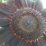 Janie Beasley - @janiecbeasley1966gmailcom - Instagram