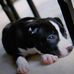 Janie Benton - Facebook