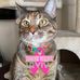 Janie Botello - Facebook