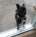 Jane Bowman - Facebook