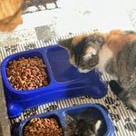 Janie Bowman - @emmyrose1820 - Instagram