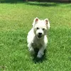 janieboyd5 - @janieboyd5 - TikTok