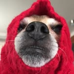Janice Cagle - @snorkiepetro - Instagram
