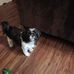 Janie Cagle - Facebook