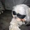 Janiel Campos - @janiel.campos - TikTok