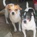 Janie Capps - Facebook