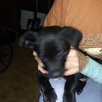 Janice Corbin Webb - @janice.c.webb.1 - Instagram