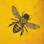 Janie Cox - @queenbeesocialmedia - Instagram
