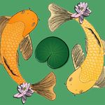 Janice Dodd - @j.m.dodd - Instagram