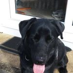Janice Dodd - @janice.dodd.731 - Instagram