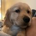 Janie Dominguez - Facebook