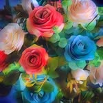 Janie freeman - @janiefreeman78 - Instagram
