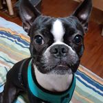 Janie Hill Roop Greer - @janiehillroop - Instagram