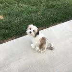 Janie Gregg - @janiegregg72 - Instagram