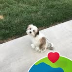 Janie Gregg - Facebook