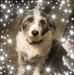 Jane Harmon - Facebook