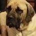 Janie Harmon - Facebook