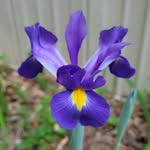 Janie Harmon Owens - @janieowens8034 - Instagram