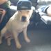 Jayne Harmon - Facebook