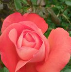Janie Hatch - Facebook