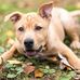 Janie Hicks - Facebook