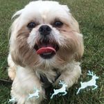 Janie Boswell-Holder - @boswellholder - Instagram
