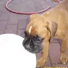 janiekidd5 - @janiekidd5 - TikTok