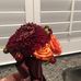 Janie Marlow - Facebook