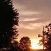 Janie McDaniel - Facebook