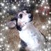 Jane Meadows - Facebook