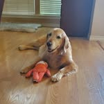 Janie Nelson - @buttercupmama1 - Instagram