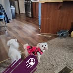 Janie Norris - Facebook