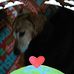 Janice O'Donnell - Facebook