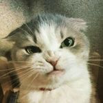 Janie Powell - @janie.powell.54 - Instagram
