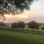 Janie Richards - @maysel_ranch - Instagram