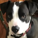 Jane Parillo Rollins - @jrscribe - Instagram