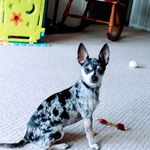 Janie Rush - @janiekirkrush - Instagram