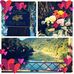 Jane Shaffer - Facebook