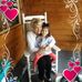 Janie Shepard - Facebook